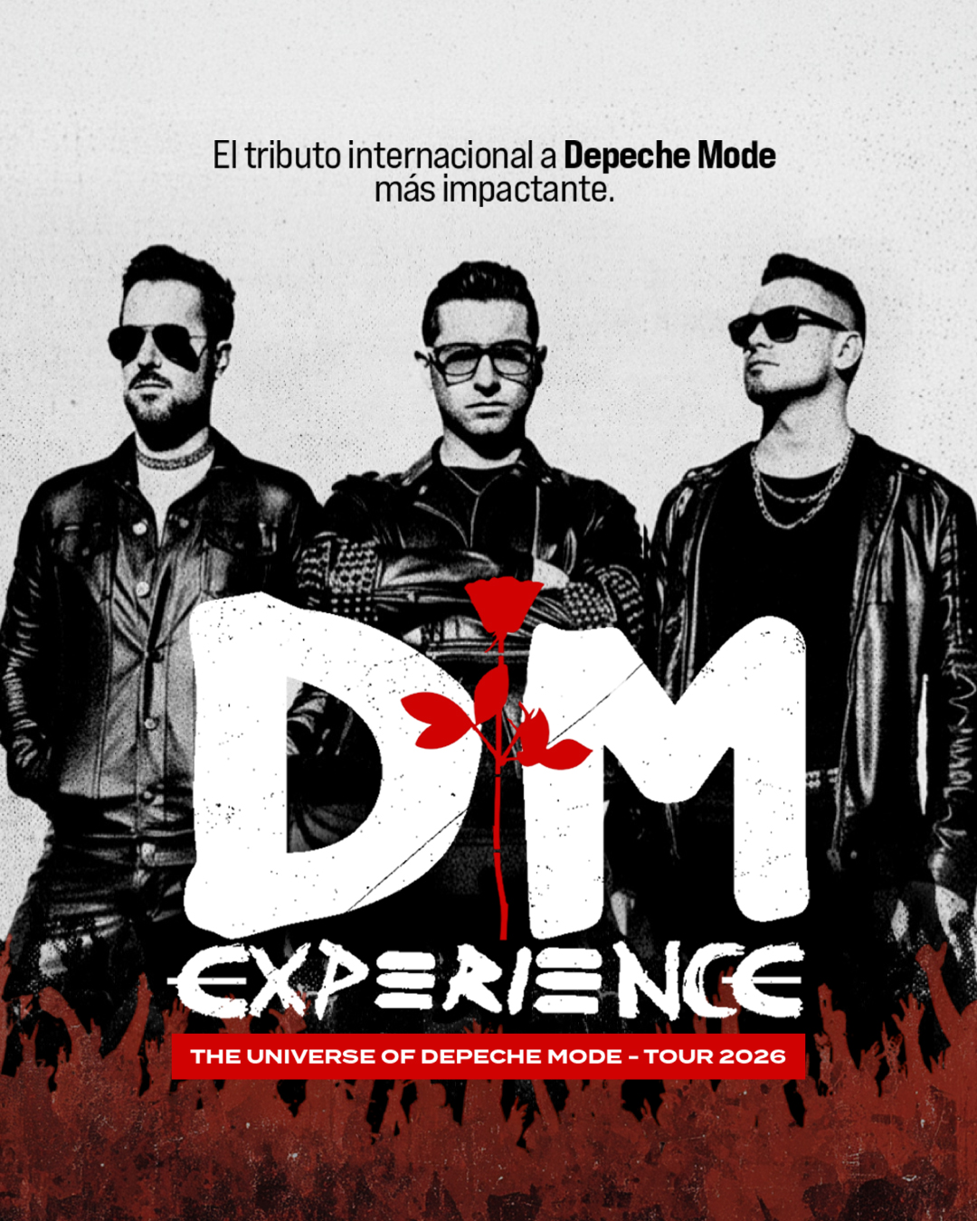 DM-EXPERIENCE-entradauno-redes